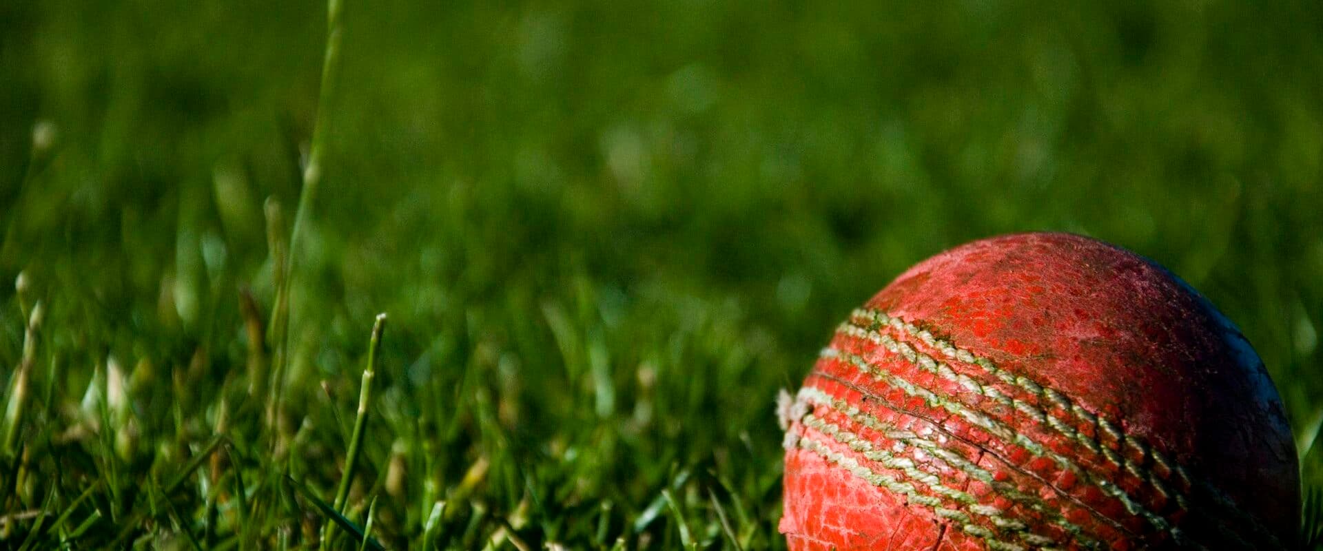 Rugby